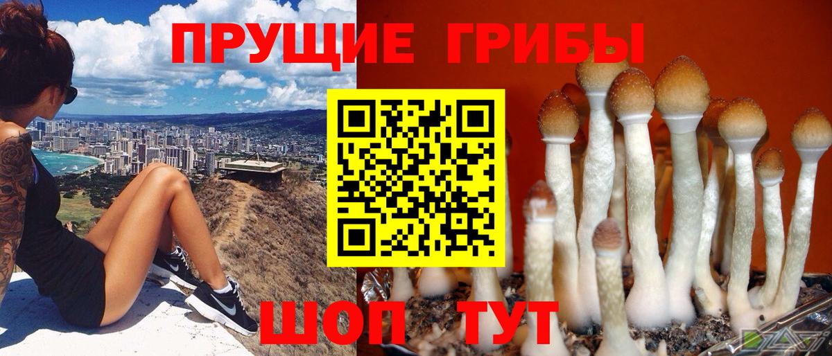 Галлюциногенные грибы MAGIC MUSHROOMS Старая Купавна