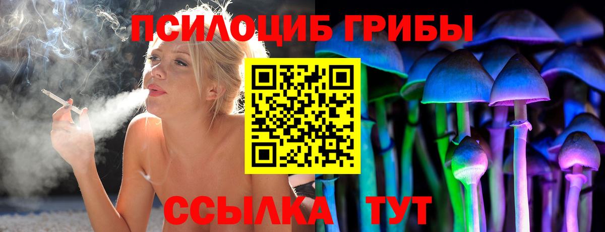 МЕФ Старая Купавна